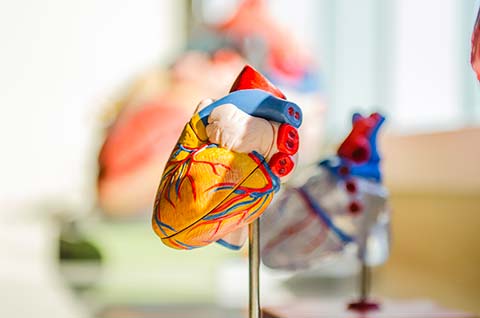 Ricerca e innovazione