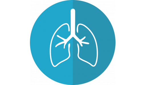 La gestione in urgenza del paziente con dispnea - 2022.2