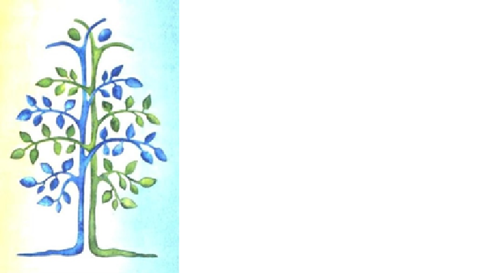 Il donatore multitessuto - I edizione 2022