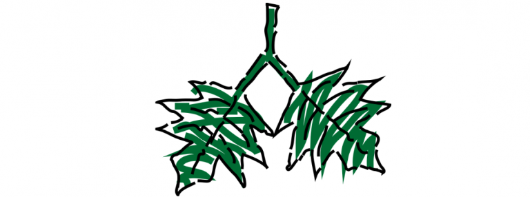 La gestione dell'embolia polmonare in Pronto Soccorso